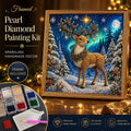DIY Framed Christmas Pearl Art Kit